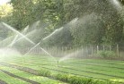 Nyora NSWlandscaping-water-management-and-drainage-17.jpg; ?>
